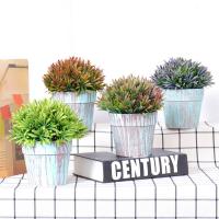 uploads/erp/collection/images/Home Garden/CongDing/XU0610397/img_b/XU0610397_img_b_1